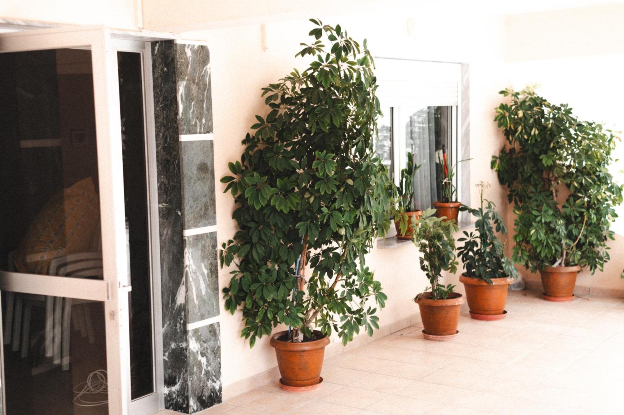 Μpasias Apartments Paralia Katerinis Exterior photo